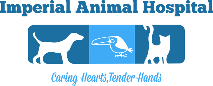 Imperial Animal Hospital - Imperial, MO
